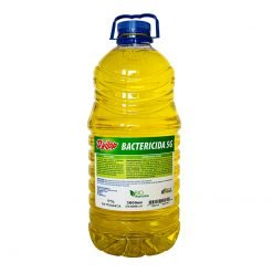 DESINFECTANTE BACTERICIDA YILOP GL